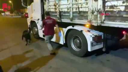 Adana'da 16 kilogram esrarla yakalanan iki şüpheli birbirini suçladı