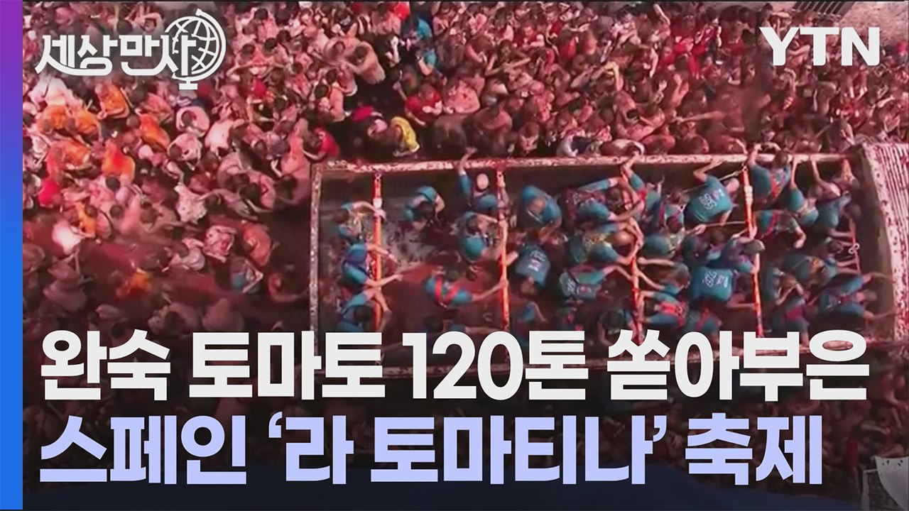 [세상만사] 토마토 120톤 쏟아부은 스페인 '라 토마티나 축제' / YTN