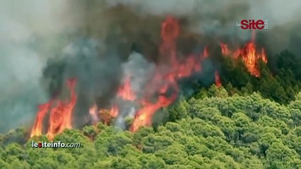 طائرات _كنادير_ تحاصر حريقا مهولا اندلع في غابة _جبل لقرع_ ضواحي تاونات