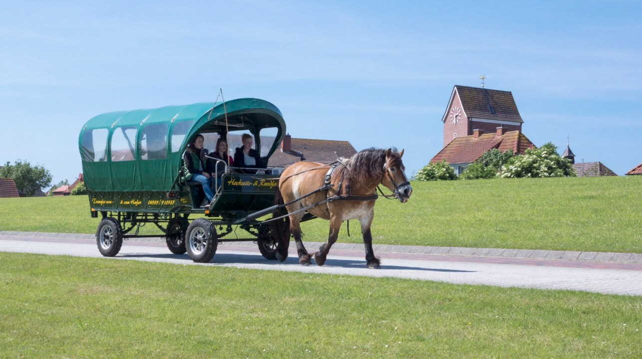 Kutschpferd dreht durch – drei Verletzte