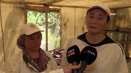 Descargar video: Aydın'da kadınlar arıcılık mesleğinde de söz sahibi olmaya başladı