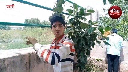 यहां महिला कांस्टेबल ने तालाब में तैरता देखा युवक का शव, गोताखोरों के साथ पहुंची एसडीआरएफ की टीम, Watch Video