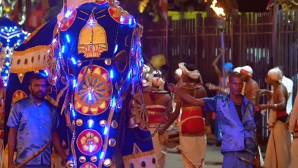 Au Sri Lanka, la ville de Kandy célèbre la fête bouddhiste de la dent