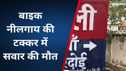 हरदोई: बाइक से टकराई नीलगाय और चालक की मौत, परिजनों में मचा कोहराम