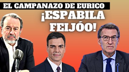 ¡Espabila Feijóo! ¡Deja de flojear ante Sánchez o te vuelves a la Plaza del Obradoiro!