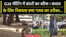 G20 Summit में बंदरों से निपटने के लगाए Langur के पोस्टर्स, Satish Upadhyay ने कहा..| वनइंडिया हिंदी