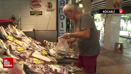 Kocaeli'de balıkçılar av sezonundan umutlu