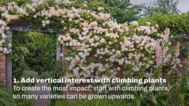 Cottage Garden Ideas I Homes & Gardens