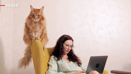 74% Of People Don’t Know What Subscriptions They Have