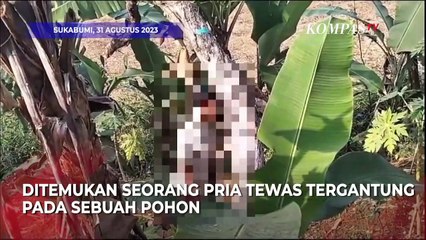 Bikin Geger Seorang Pria di Sukabumi Ditemukan Tewas Menggantung di Pohon