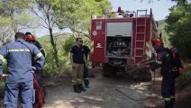 Incêndios florestais na Grécia destruíram pelo menos 150 mil hectares