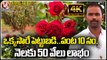 Man Earns Huge Profits With Rose Flowers Farming _ Ranga Reddy _ V6 News (1)