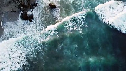 Native Sample Application Demo Video