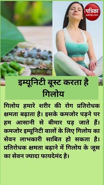 गिलोय है बेहद चमत्कारी, रोजाना सेवन करने से मिलेंगे 11 गजब के फायदे