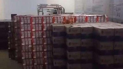 धार: अवैध शराब से भरा ट्रक पुलिस ने किया जप्‍त ,दो आरोपी गिरफ्तार