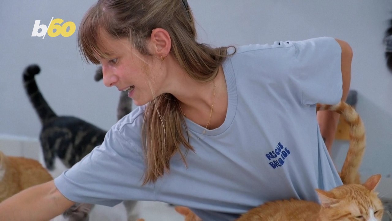 Animal Enthusiast in Lebanon Gives 100% of Clothing Sales Profits to Charity