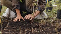 Newcastle headlines 31 August: Over 41,000 trees planted this year across the North East