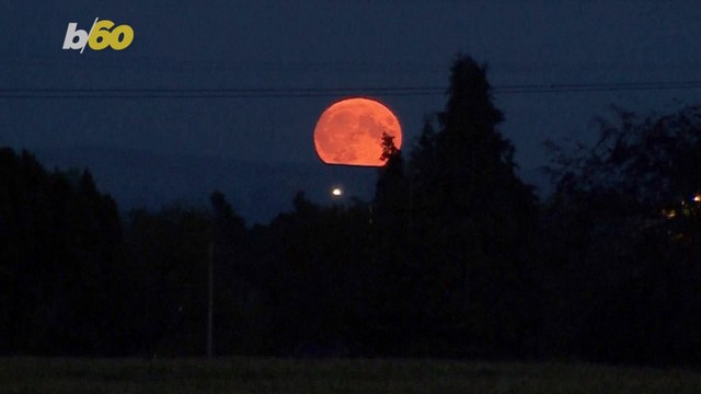 Rare Blue SuperMoon Illuminates The Sky