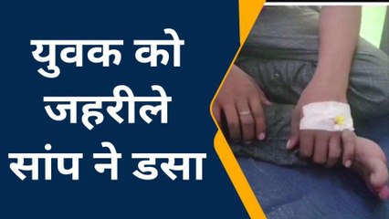 सीतापुर: घास काटने गए युवक को जहरीले सांप ने काटा, और देखिए अब कैसे हालत