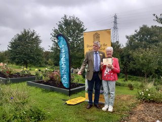 Taghnevan Allotments Lurgan