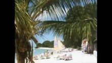 Selva Summer Mix by BeatPete