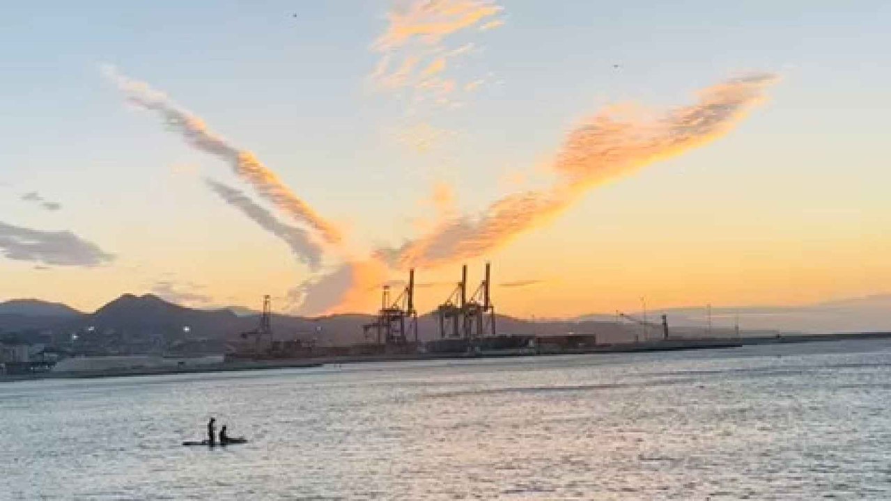 El vídeo del turista.