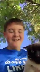 Hilarious and Shocking Cat Attacks You'll Ever See   PETASTIC