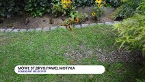 Grybów - podtopienia w gminie Grybów