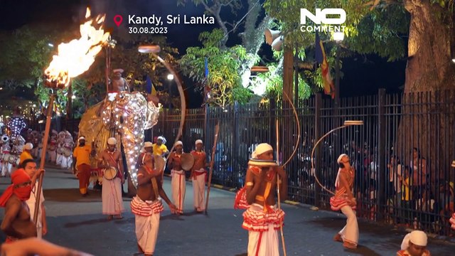 Sri Lanka, elefanti impazziti durante il corteo religioso: Sono maltrattati dicono gli animalisti