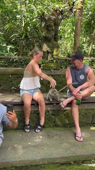Agressé par un singe à Bali