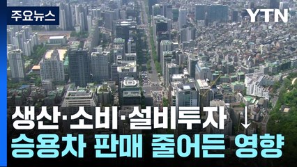 생산·소비·투자 '트리플 감소'...승용차 판매 큰 영향 / YTN