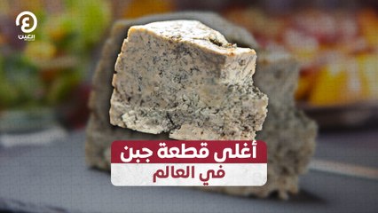 أغلى قطعة جبن في العالم