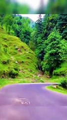 Beautiful Green Street Mansehra Pakistan