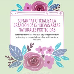 -Jacobo Shemaria Capuano- Semarnat oficializa la creación de 13 nuevas áreas naturales protegidas (parte 1 )