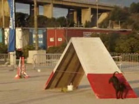 Asian Open Martigues