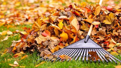 These Are the Fall Lawn Care Steps You Need to Take