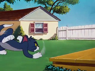 Tom & Jerry S1950E14 - Slicked-Up Pup 🐾 | Classic Cartoon Adventure