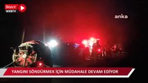 Mudanya'da orman yangınını söndürme çalışmaları devam ediyor