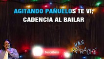 AGITANDO PAÑUELOS - Los Amigos (karaoke)
