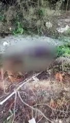Adana'da dere kenarında kadın cesedi bulundu
