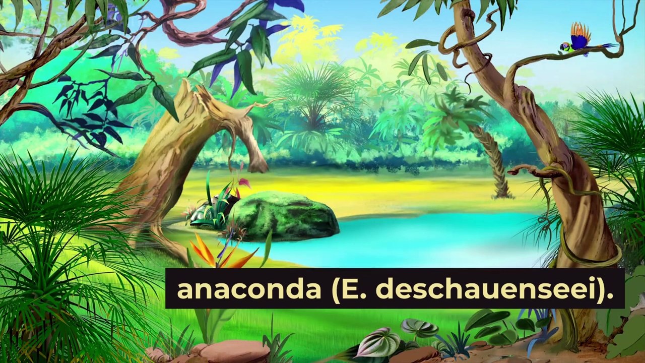 Anaconda Facts