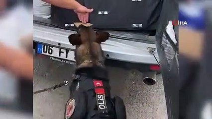 36 kilogrammes d'articles de mouffette saisis à Kırıkkale