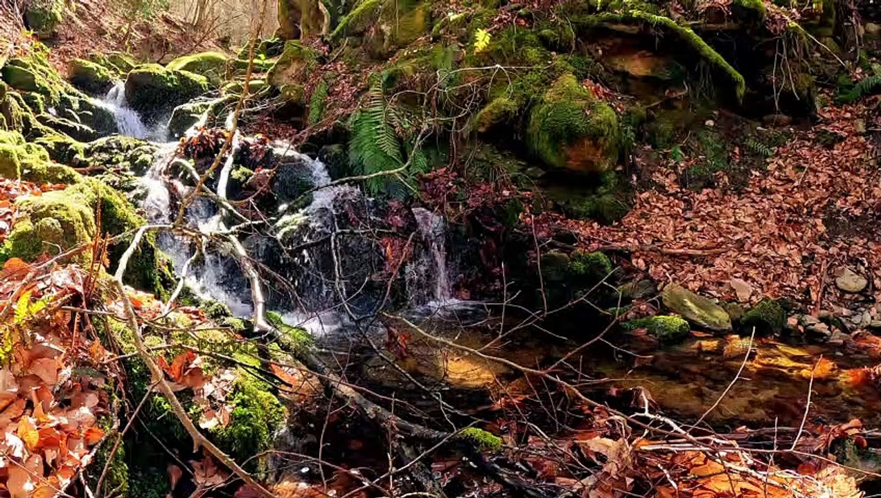 "Bien-être" Eau ruisseau 4K- Relaxation Détente