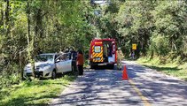 Idoso bate carro contra árvore e morre em Curitiba; mal súbito pode ter provocado acidente