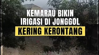 Kemarau Bikin Irigasi di Jonggol Kering Kerontang, 10 Desa Krisis Air