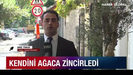 Kafe sahibi kadın kendini zeytin ağacına zincirledi