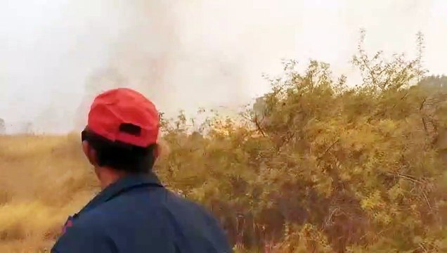 El viento vuelve a complicar la lucha contra el megaincendio de Evros