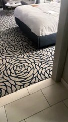 Le ménage garde les choses très propres