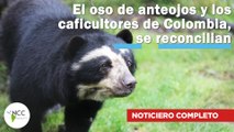 El oso de anteojos y los caficultores de Colombia, se reconcilian | 583 | 04 - 10 de septiembre 2023