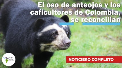 El oso de anteojos y los caficultores de Colombia, se reconcilian | 583 | 04 - 10 de septiembre 2023